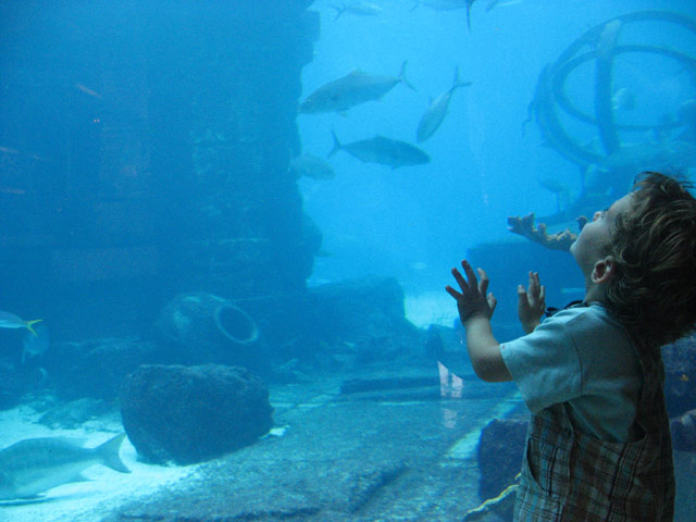 Aquarium Atlantis